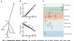 İnsanlık İçin Ölmek: Ebola Genetiği ve Evrimi Üzerinde Çalışırken Ebolaya Yakalanıp Ölen 5 Bilim İnsanı...
