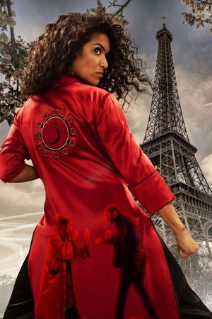 Kung-Fu Zohra