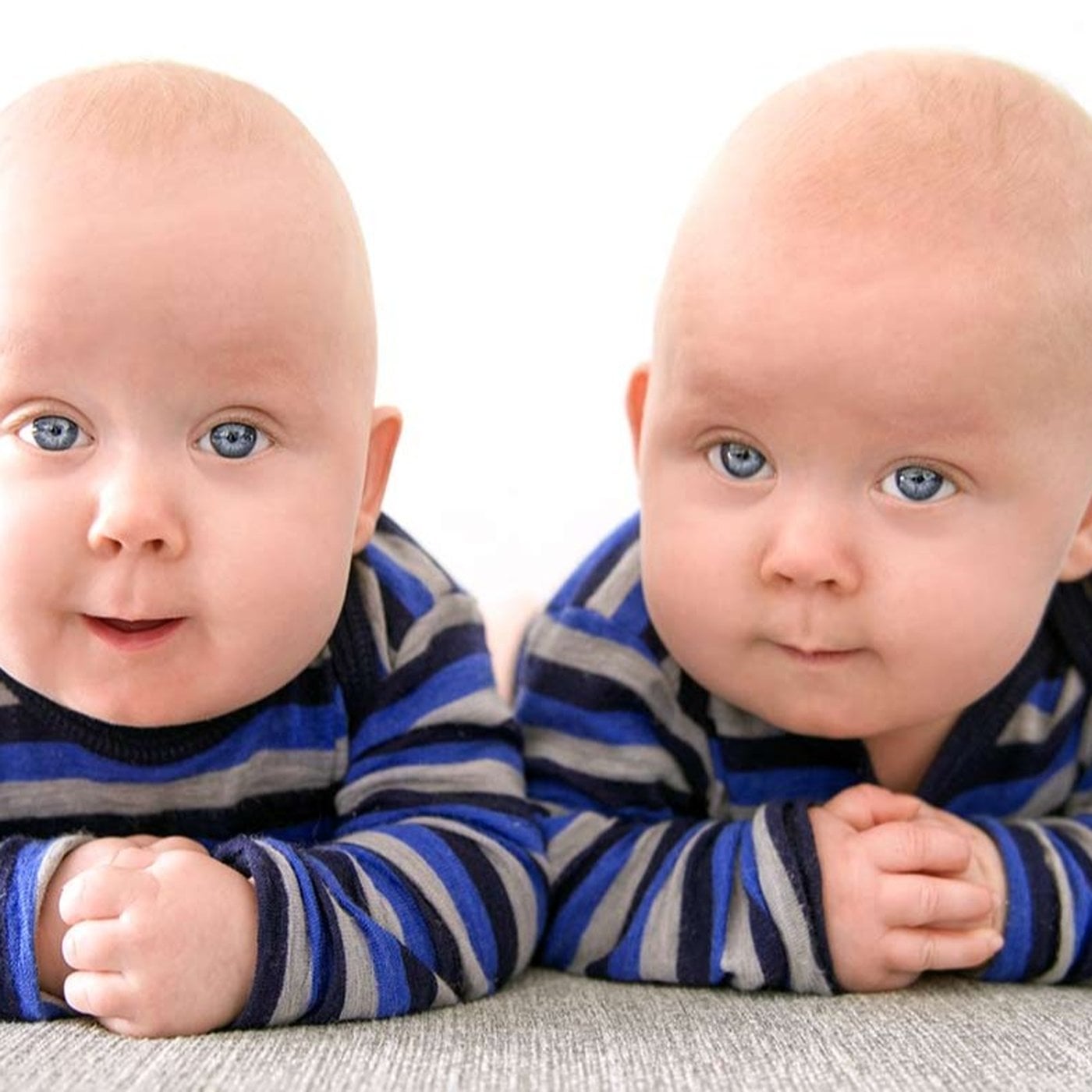 Evrim Ağacı ile Bilime Dair Her Şey!