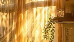 Bırakın Düşeyim Böylece Sizleri Tanıyacağım