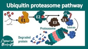 THAP1 Gene Mutations Disrupt Proteasome Function, Linked To Dystonia