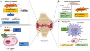 New Insights Into Mechanisms Of Osteoarthritis Uncovered