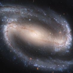 Barred Spiral Galaxy NGC 1300