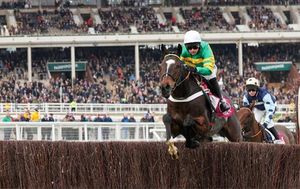 Golden Ace Shines In 2025 Cheltenham Festival Highlights