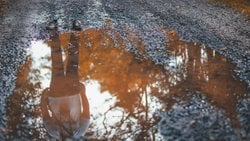 Yaşamın Anlamsızlığı