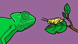 Açıkça Açıkla: Doğal Seçilim Nedir?