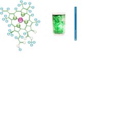 Klorofil, yeryüzünde oluşan ilk canlı olabilir mi?