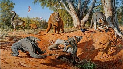 Avustralya Megafaunasını İnsanlar Mı Yok Etti?