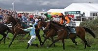 Banned Grand National horse given green light to race in Scottish Grand National