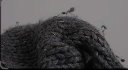 Sürekli tiftiklenen bir kazaktan her gün tiftik alınırsa önce kazak mı biter tiftik mi biter?