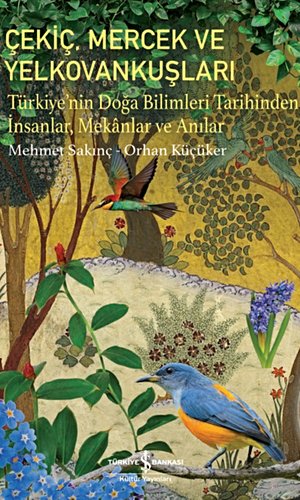 Çekiç, Mercek ve Yelkovankuşları