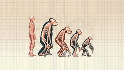 Evrim Teorisi'ne Neden İnanmak İstenilmez?