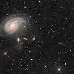 NGC 772: The Fiddlehead Galaxy