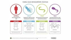 Hayvanlarda Kan Renginin Evrimsel Kökeni ve Adaptif Önemi