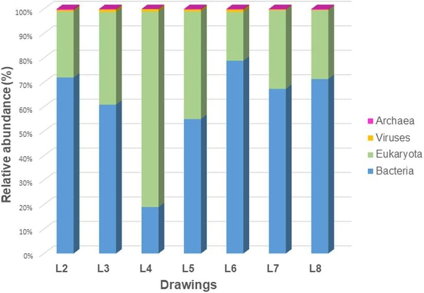 Araştırılan yedi çizimin mikrobiyomlarında ökaryotların, bakterilerin, arkelerin ve virüslerin oranı
