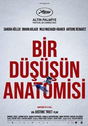 Bir Düşüşün Anatomisi