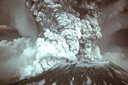 Sincaplar ve Görünmez Yardımcıları St. Helens Dağı’nı Yeniden Canlandırdı.