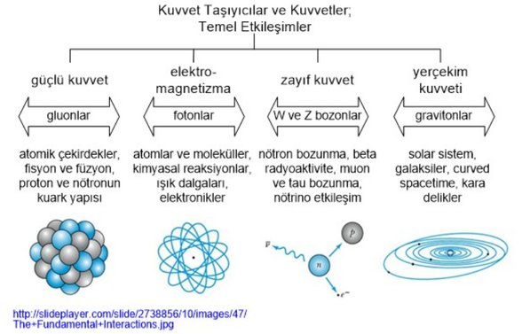 Doğada Dört Temel Kuvvet ve Taşıyıcıları