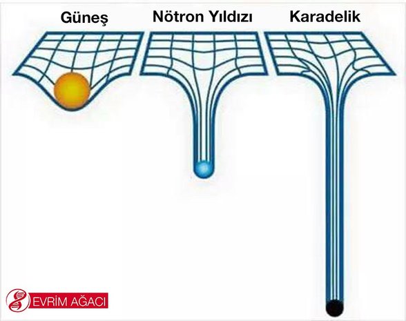 Güneş, nötron yıldızı ve karadeliğin uzay-zaman dokusunu bükmeleri
