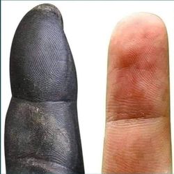 İnsanların tırnakları ve saçları sürekli uzarken, neden maymunlarınki bir noktadan sonra uzamıyor?