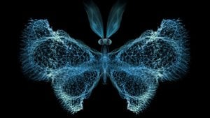 Kaos Teorisi Nedir? Doğadaki Kaostan Söz Ederken Neyi Kastediyoruz?