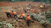 Indonesia's landslide: Death toll rises to 11 – DW – 11/15/2025