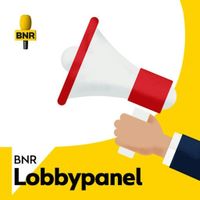 Welke kansen biedt de voorjaarsnota voor lobbyisten?