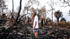 Maui Struggles With Wildfire Recovery Efforts