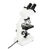Celestron Labs CB1000CF Binoküler Biyolojik Mikroskop