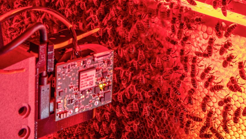 ODTÜ'nün Geliştirdiği RoboRoyale Projesi, "Science Robotics" Dergisinin Kapağında Yer Aldı!