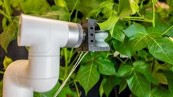 Yumuşak Robot Bitki Yapraklarına Sensör Enjekte Ederek Tarımda Devrim Yaratıyor!