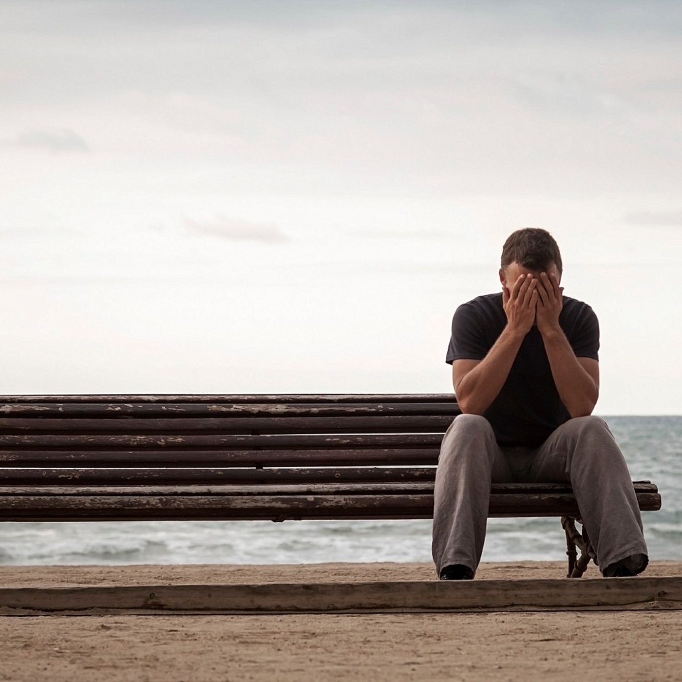 Evrim Ağacı ile Bilime Dair Her Şey!
