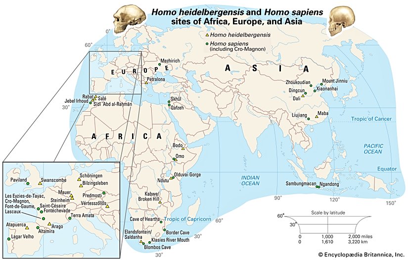 Asya, Avrupa ve Afrika'daki Homo heidelbergensis ve Homo sapiens buluntu sahaları.