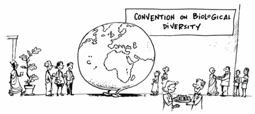 Biyolojik Çeşitliliğin Korunması