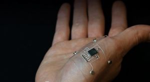 Bioinspired Design Boosts Stretchability Of Electronics