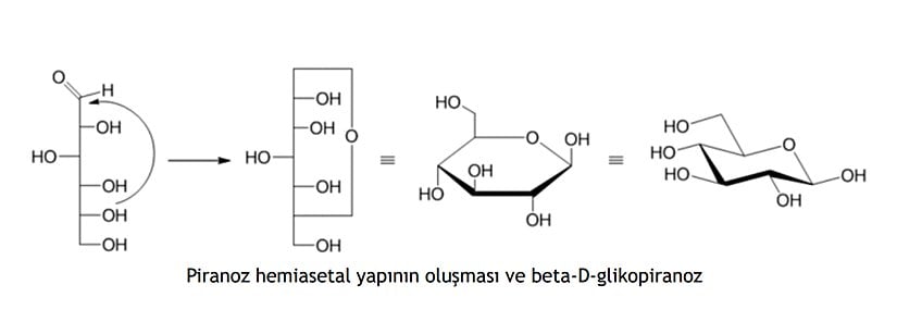 Howarth Projeksiyonu altında piranoz hemiasetal ve beta-D-glikopiranozyapının oluşumu