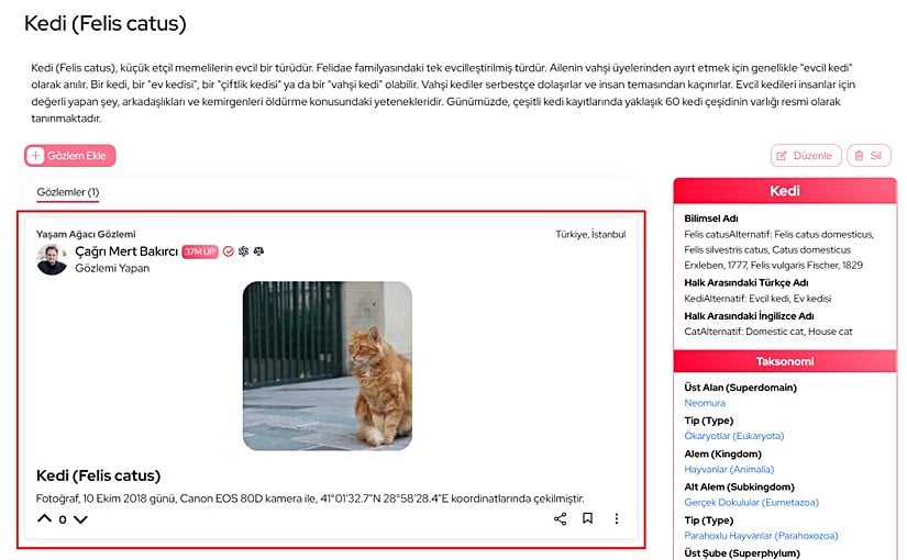 Gözlemin nerede, hangi ekipmanlarla çekildiğini kesinlikle belirtmeniz gerekmektedir.