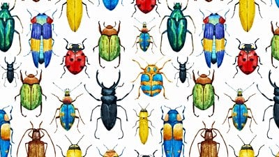 Evrim Ağacı Büyümeyi Sürdürüyor!