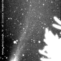 Latest Comet Hyakutake images: