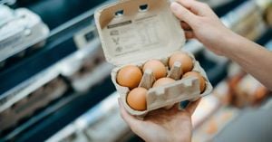 U.S. Egg Shortage Prompts Inquiries To European Suppliers