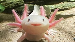 Uzayda yaşam olabilir mi?