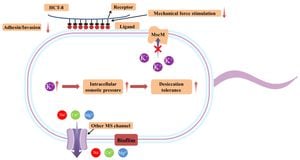 Study Uncovers Crucial Role Of NlpD Protein In Cronobacter Sakazakii Survival