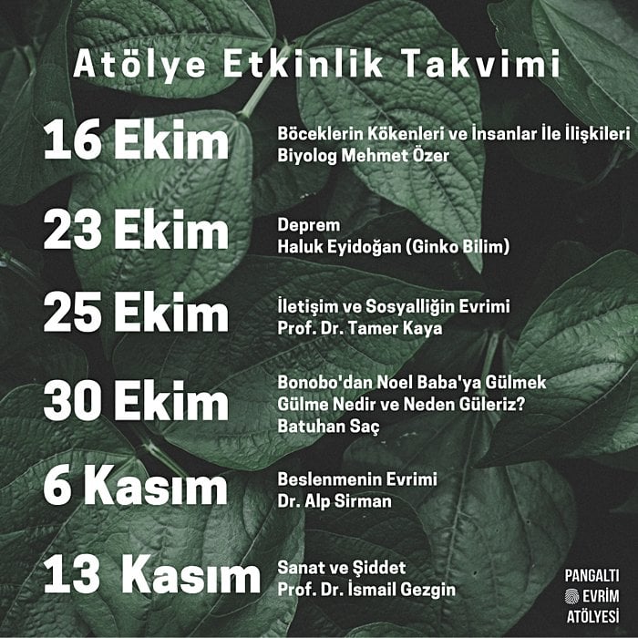 Pangaltı Evrim Atölyesi 16 Ekim - 13 Kasım Tarihleri Arası Etkinlikleri