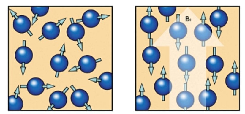 Dış bir manyetik alan olmadan rastgele yönelim (solda) ve dış manyetik alan altındaki yönelim (sağda).