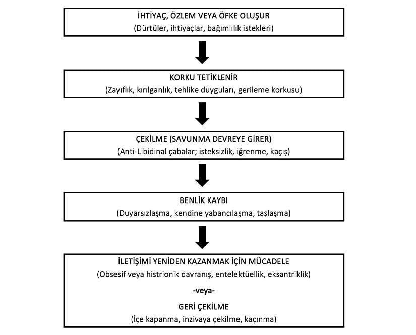 Şizoid Geri Çekilme Süreci