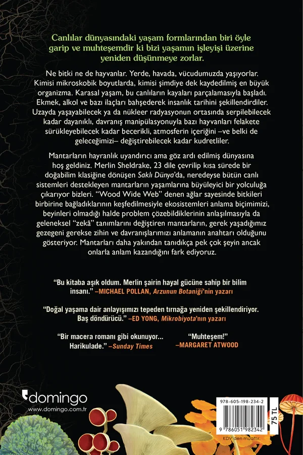 Saklı Dünya: Mantarlar Yaşamı, Zihnimizi ve Geleceğimizi Nasıl Değiştirir?