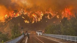 Turkey Battles Fierce Wildfires Threatening Bursa City