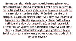Beyin aktiviteleri dis etmenlerle taklit edilebilir mi? Edilebiliyorsa sonucu orijinali gibi olur mu?