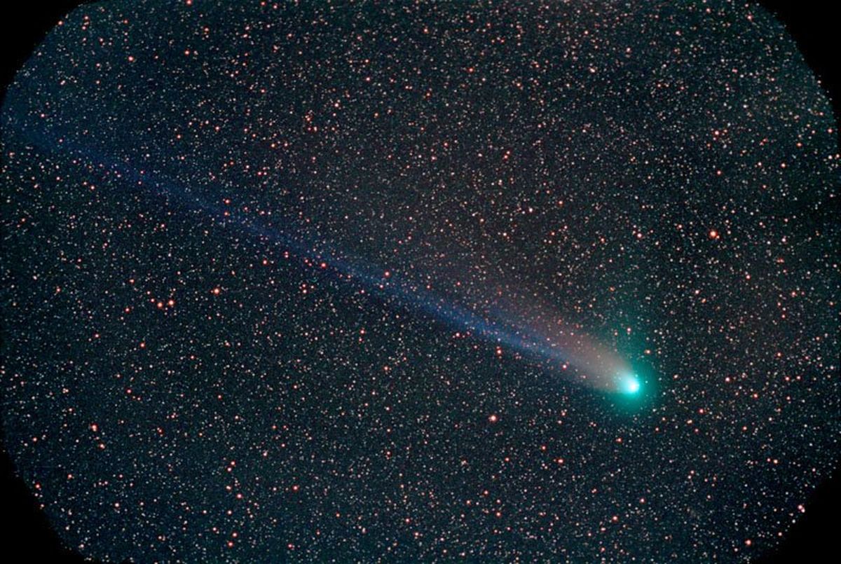 The Tails of Comet NEAT (Q4)