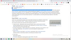 Amerikada insanların olması ne kadar doğru?